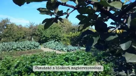 Útmutató a biokert megtervezéséhez