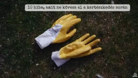 10 hiba, amit ne kövess el a kertészkedés során