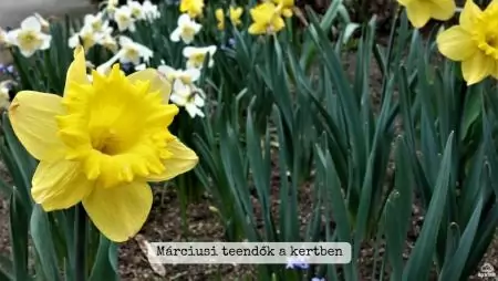 Márciusi teendők a kertben