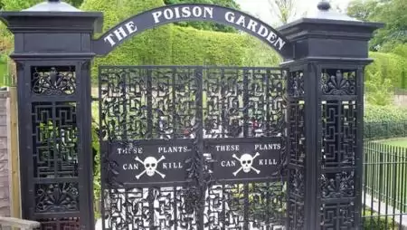 Mérgező növények a kertben