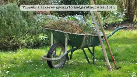 Tippek, a sikeres gyomirtó hadjárathoz a kertben