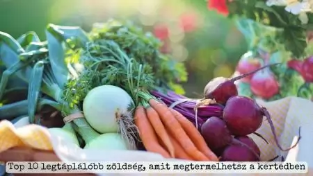 Top 10 legtáplálóbb zöldség, amit megtermelhetsz a kertedben