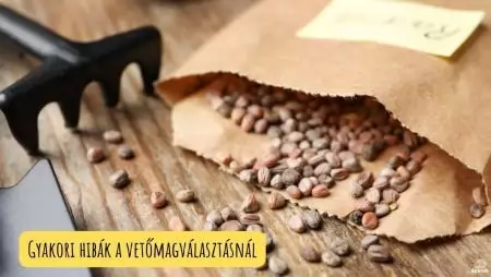 Gyakori hibák a vetőmagválasztásnál