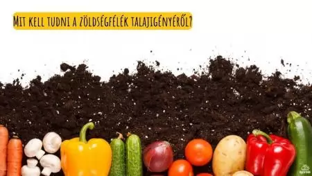 Mit kell tudni a zöldségfélék talajigényéről?