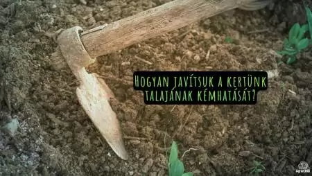 Hogyan javítsuk a kertünk talajának kémhatását?