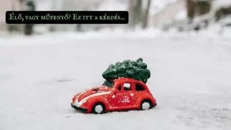 Élő, vagy műfenyő? Ez itt a kérdés...