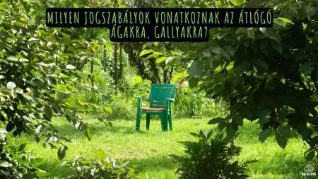Milyen jogszabályok vonatkoznak az átlógó ágakra, gallyakra?
