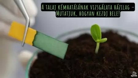 A talaj kémhatásának vizsgálata házilag – Mutatjuk, hogyan kezdj bele!
