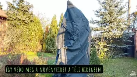 Így védd meg a növényeidet a téli hidegben!
