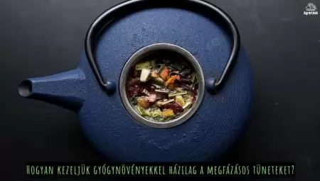 Hogyan kezeljük gyógynövényekkel házilag a megfázásos tüneteket?