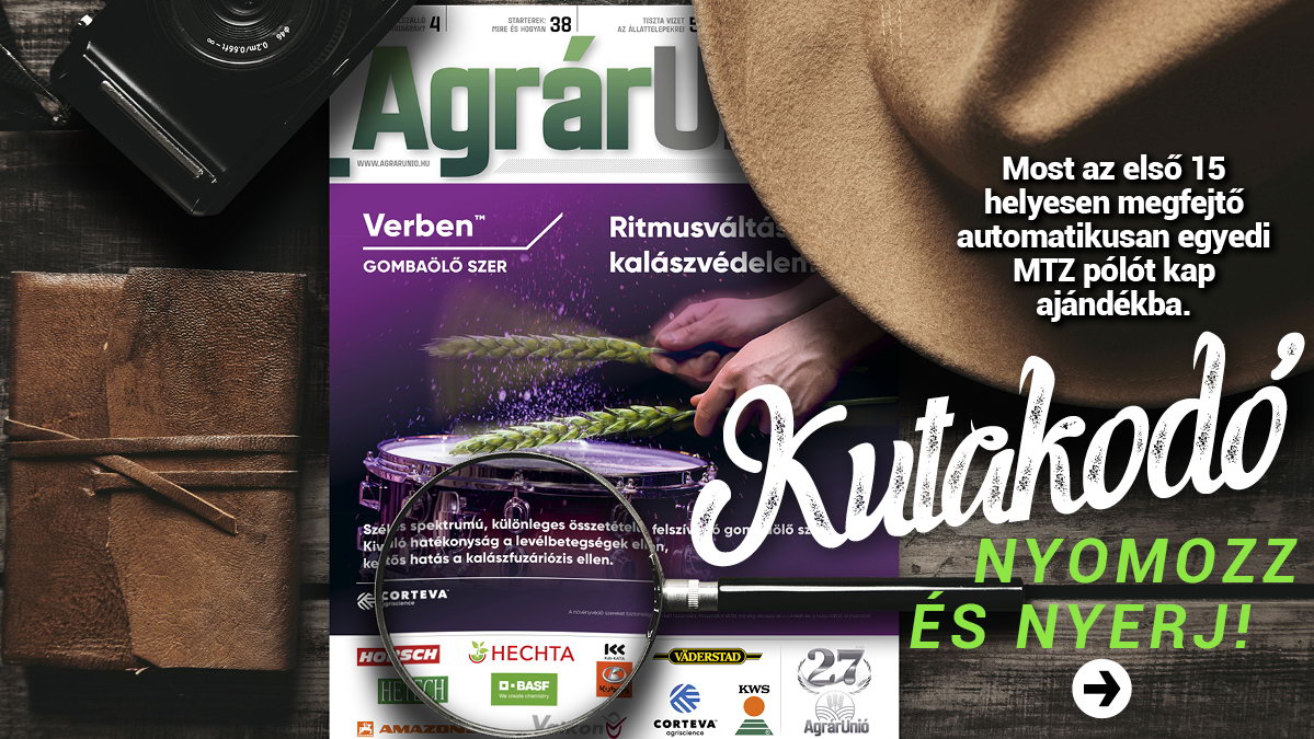 Kutakodó nyereményjáték