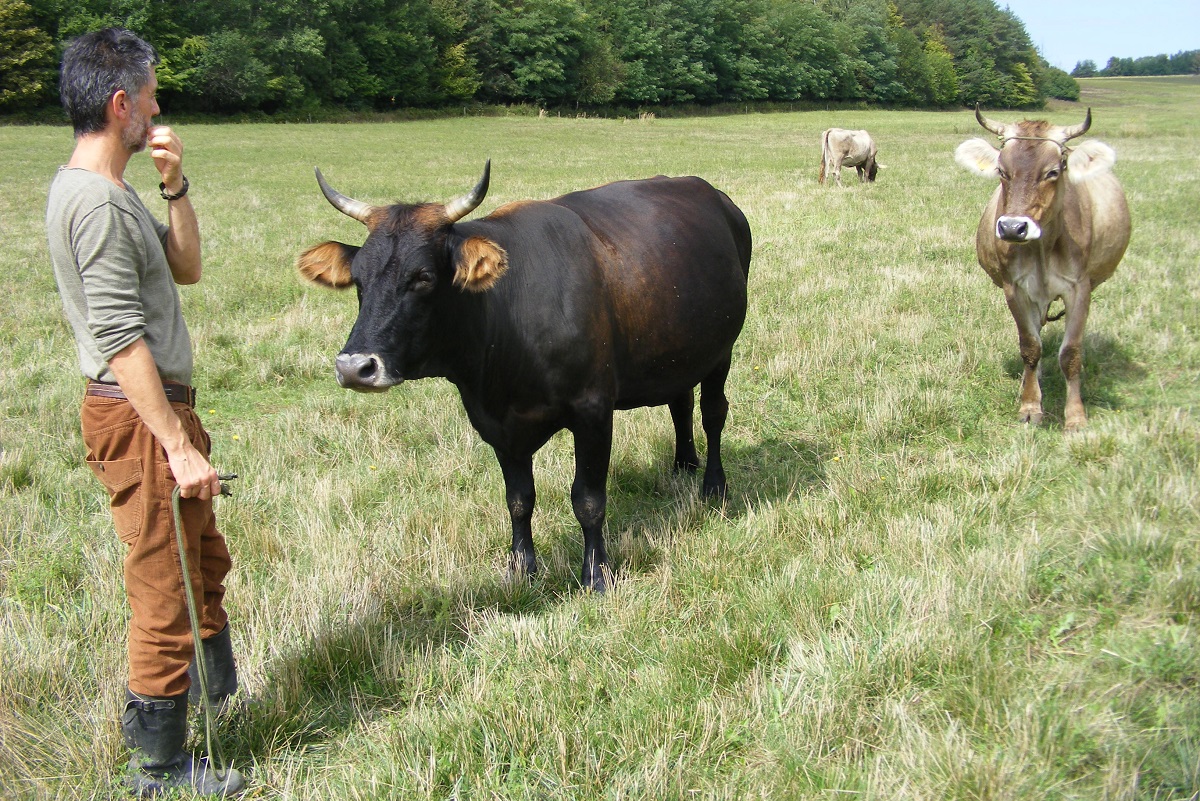 &Uacute;j &eacute;let a borzderessel