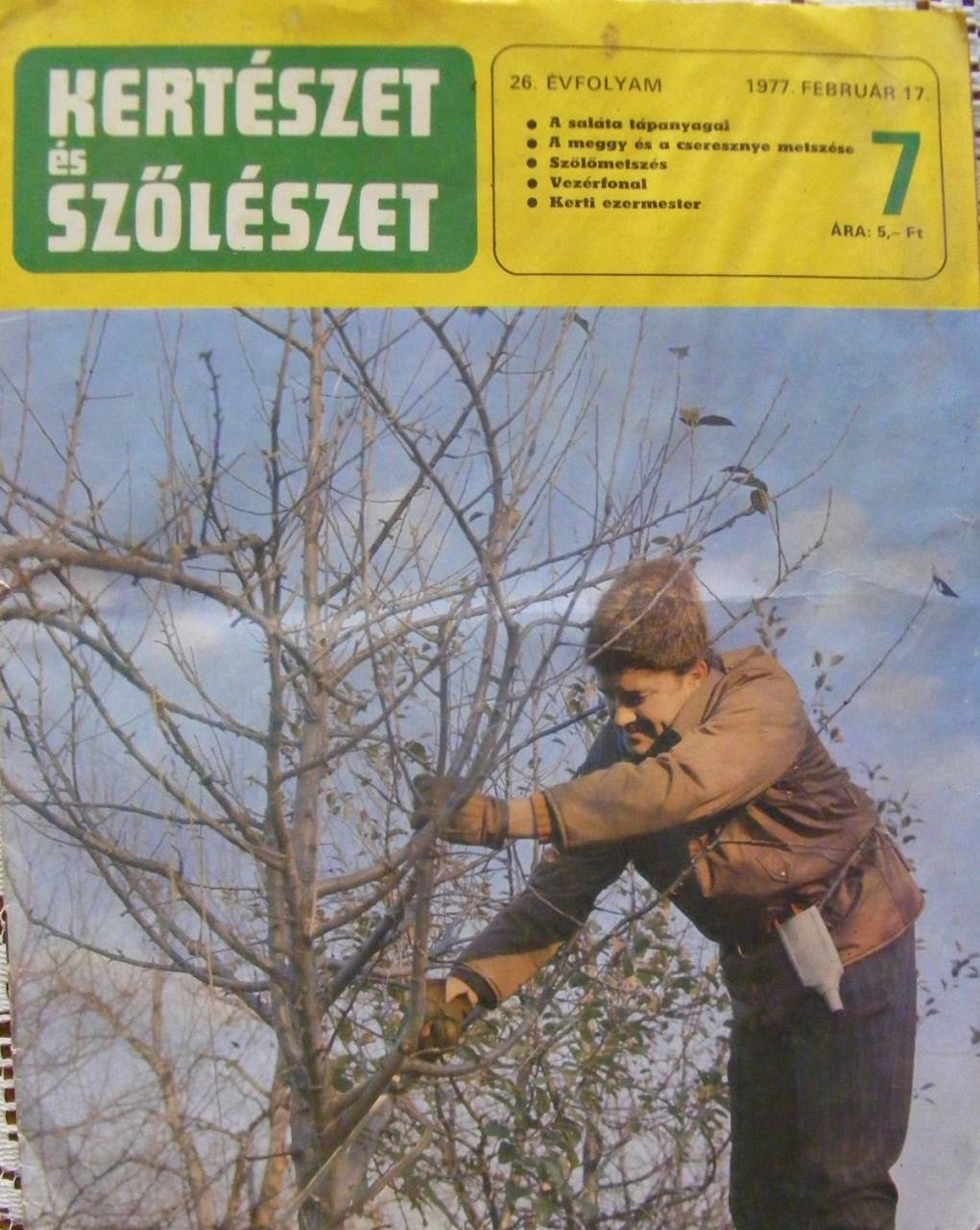 J&aacute;r a tisztelet az &ouml;reg alm&aacute;skertnek