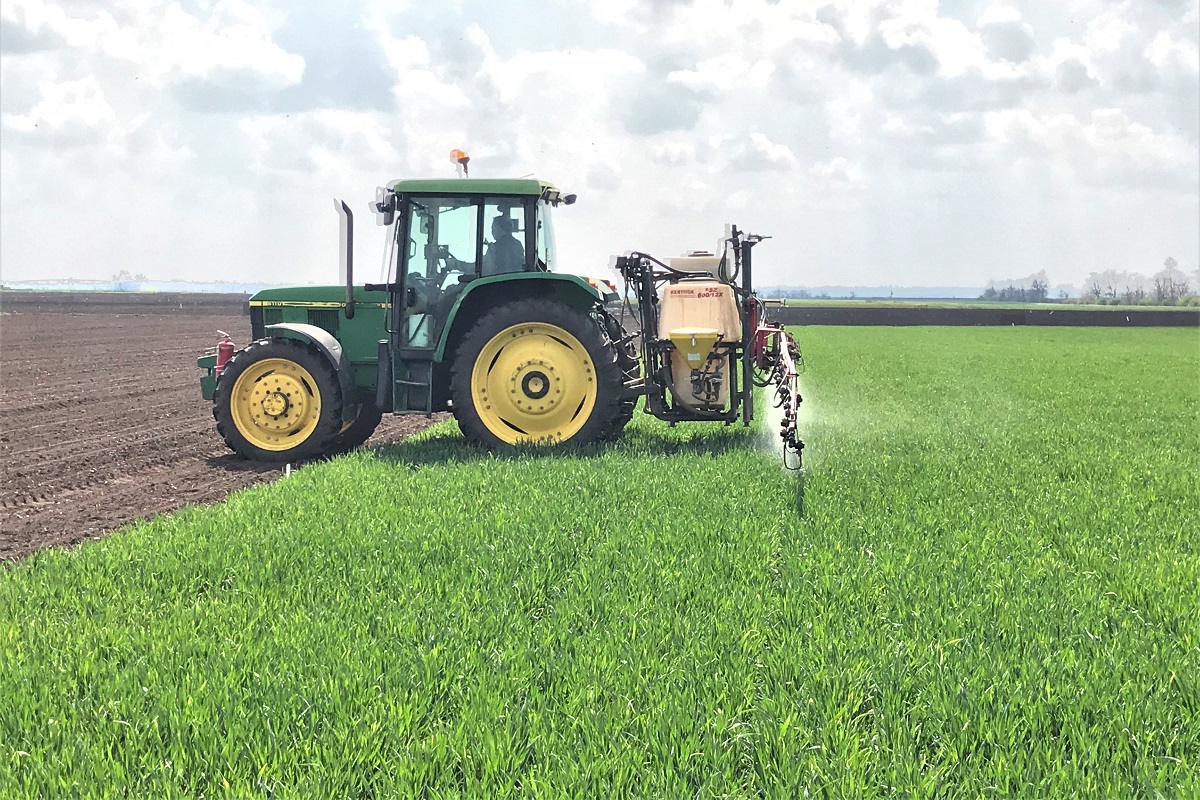 Megker&uuml;lhetetlen aj&aacute;nlat kal&aacute;szosok gyomirt&aacute;s&aacute;ra