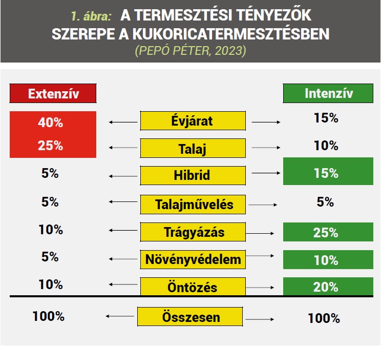 Hozzuk ki a legt&ouml;bbet a kukoric&aacute;b&oacute;l!