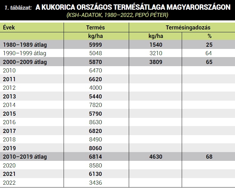 Hozzuk ki a legt&ouml;bbet a kukoric&aacute;b&oacute;l!