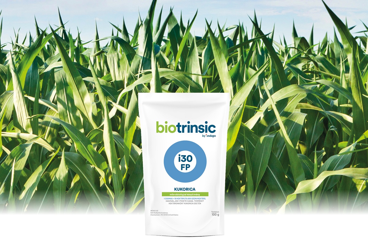 Mikroorganizmusokkal egy fenntarthat&oacute;bb j&ouml;vő&eacute;rt,  avagy a KITE Zrt. mikrobiol&oacute;giai portf&oacute;li&oacute;ja