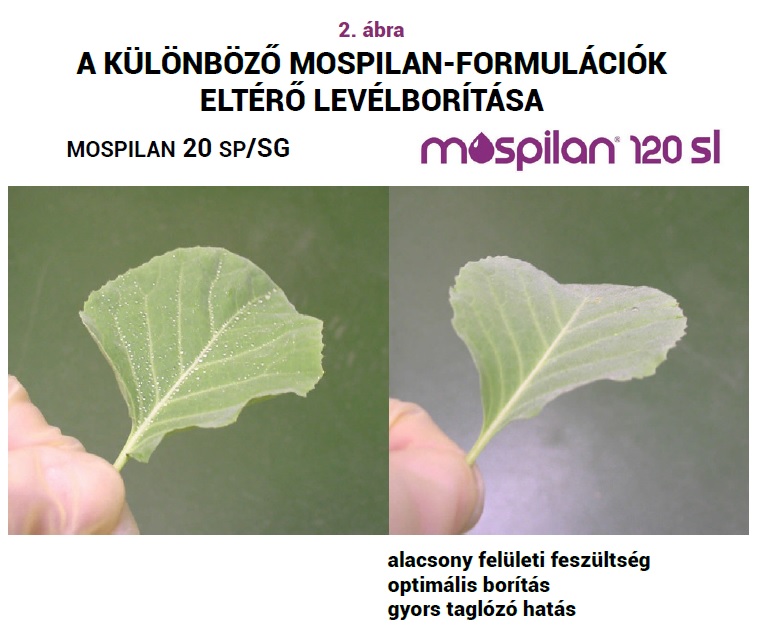 Foly&eacute;konyan jap&aacute;nul &ndash; Az acetamiprid t&ouml;rt&eacute;nete folytat&oacute;dik