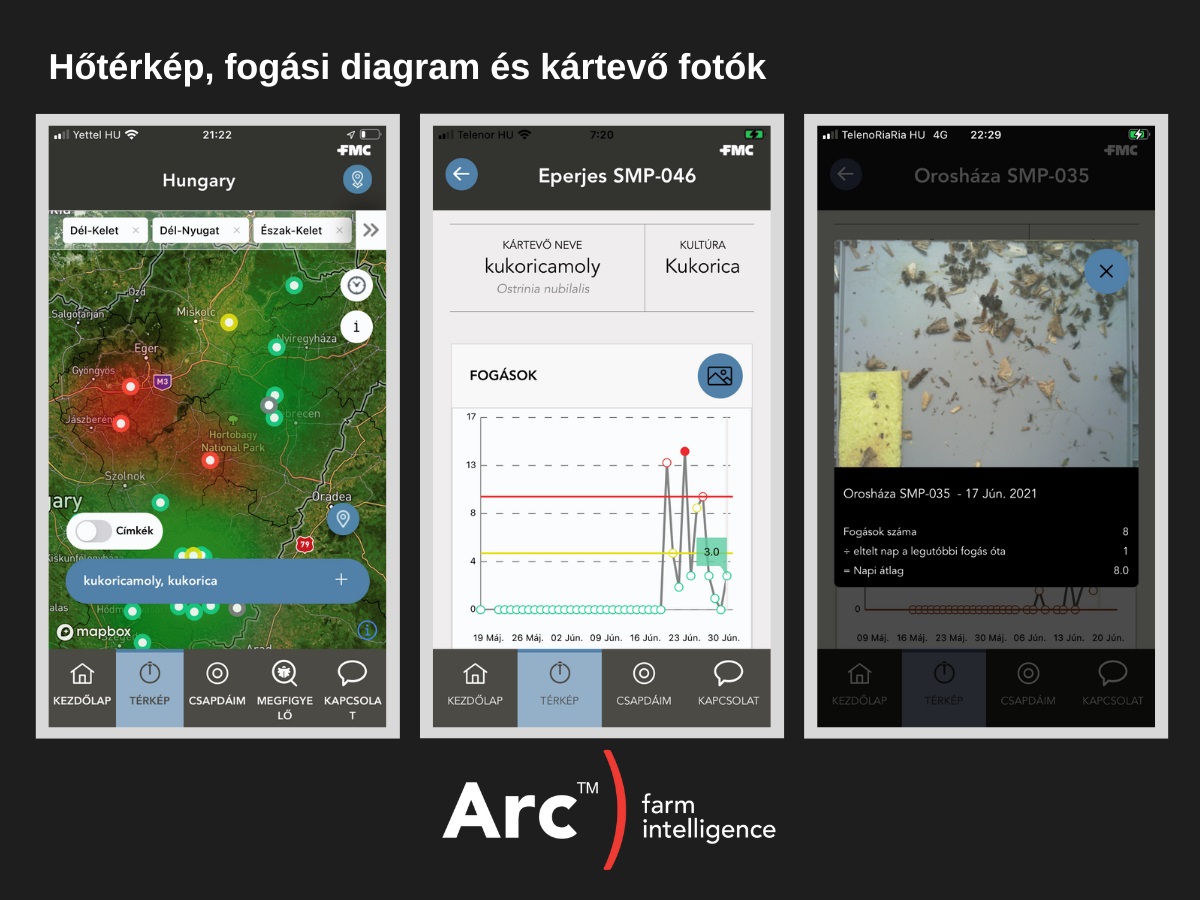 Ha a toxinmentes kukorica a c&eacute;l