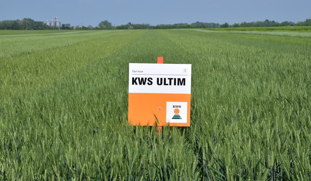 Modern genetika &eacute;s szakmai t&aacute;mogat&aacute;s a KWS-től