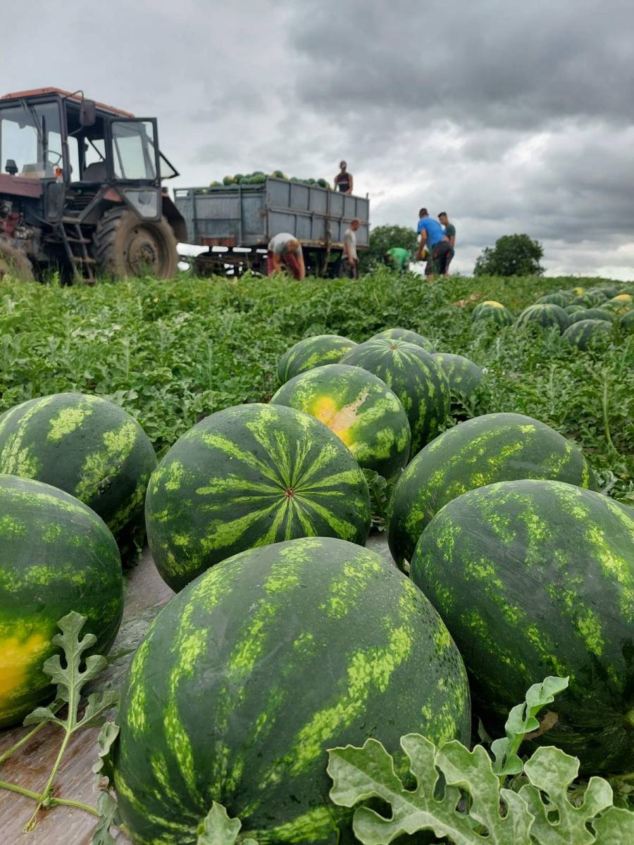 Kitűnő magyar dinny&eacute;re sz&aacute;m&iacute;tunk id&eacute;n