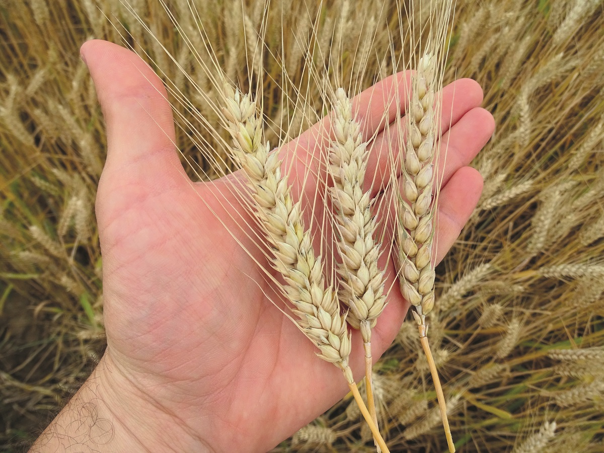 Stabil alapokon &ndash; A KITE kal&aacute;szos portf&oacute;li&oacute;ja