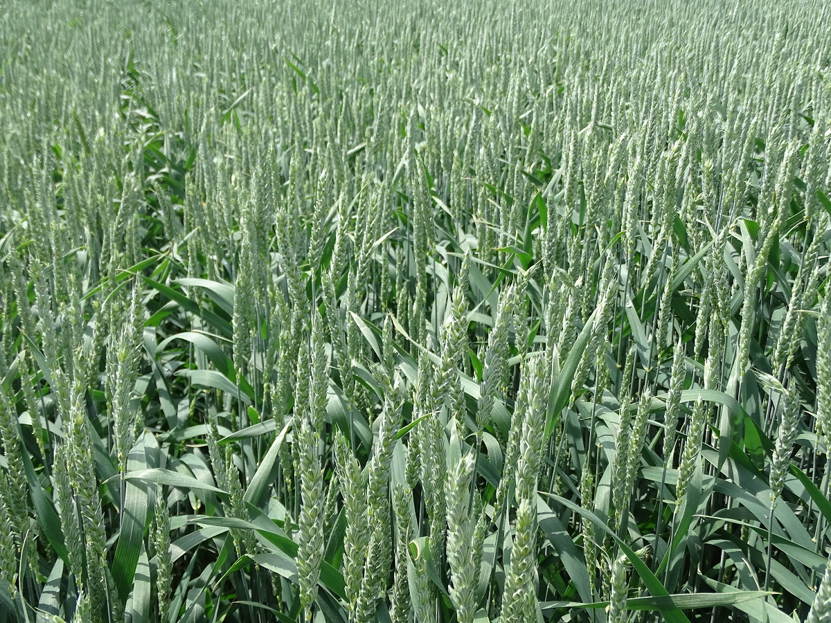 Stabil alapokon &ndash; A KITE kal&aacute;szos portf&oacute;li&oacute;ja