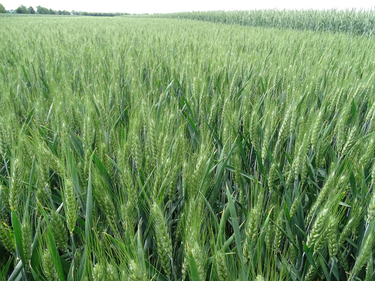 Stabil alapokon &ndash; A KITE kal&aacute;szos portf&oacute;li&oacute;ja