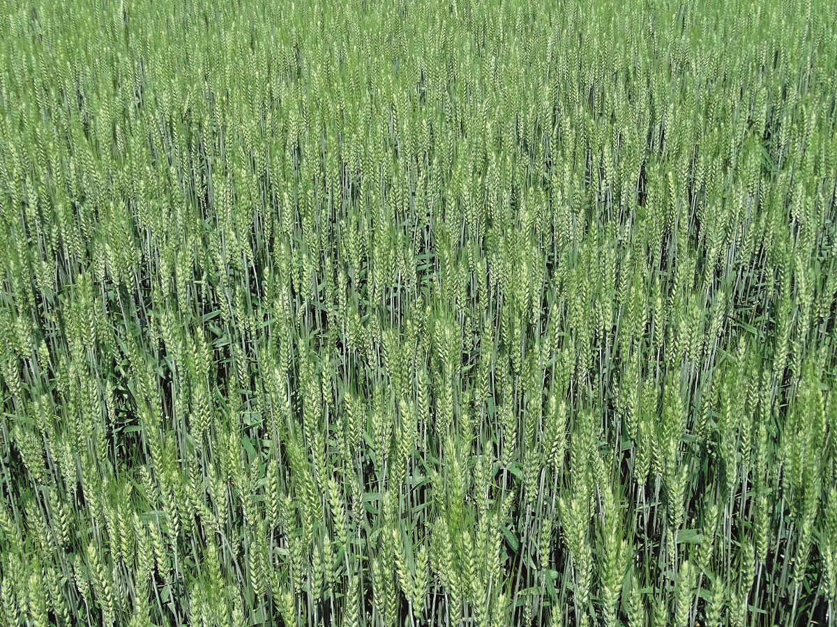 Stabil alapokon &ndash; A KITE kal&aacute;szos portf&oacute;li&oacute;ja