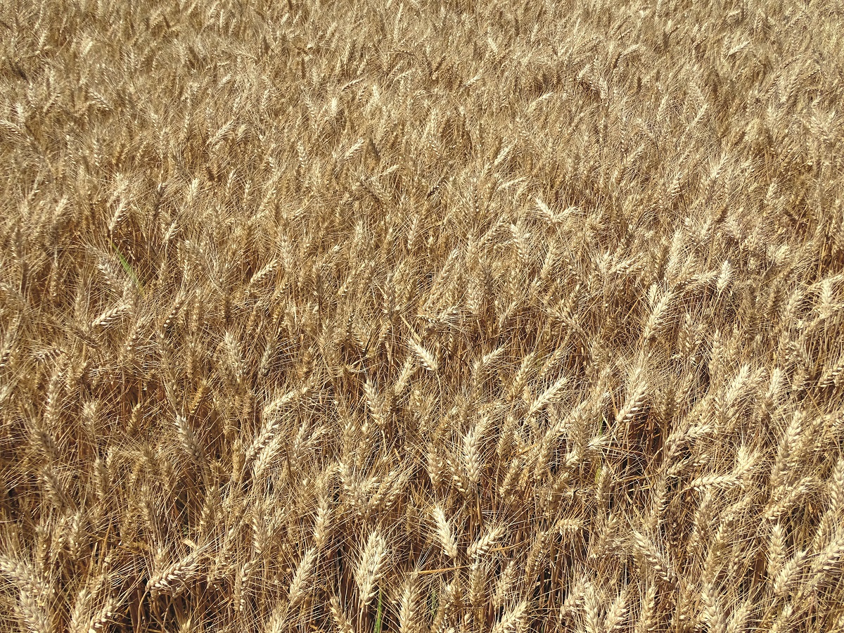 Stabil alapokon &ndash; A KITE kal&aacute;szos portf&oacute;li&oacute;ja