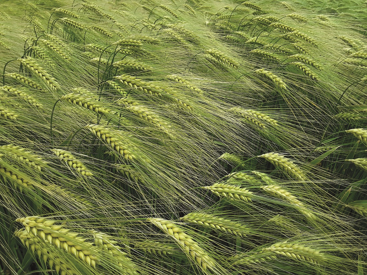 Stabil alapokon &ndash; A KITE kal&aacute;szos portf&oacute;li&oacute;ja