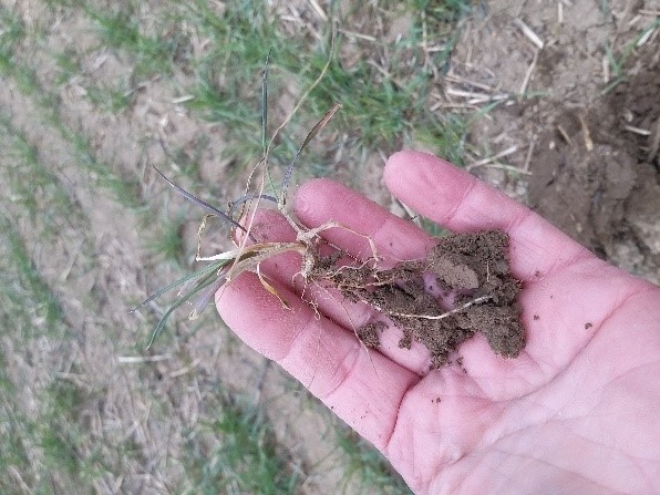 Sp&oacute;roljunk j&oacute;l, cs&aacute;v&aacute;zzunk okosan!