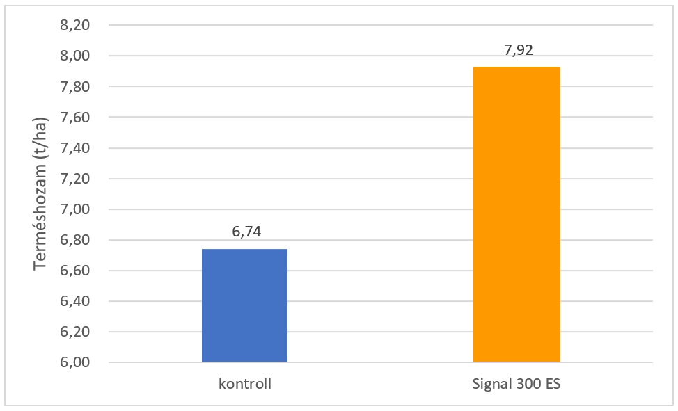 Sp&oacute;roljunk j&oacute;l, cs&aacute;v&aacute;zzunk okosan!