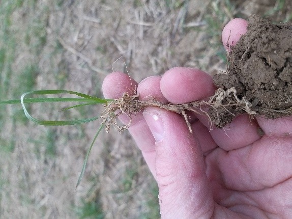 Sp&oacute;roljunk j&oacute;l, cs&aacute;v&aacute;zzunk okosan!