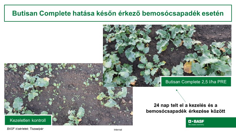 Repce Komplett &ndash; A teljes &eacute;rt&eacute;kű őszi megold&aacute;s repc&eacute;ben