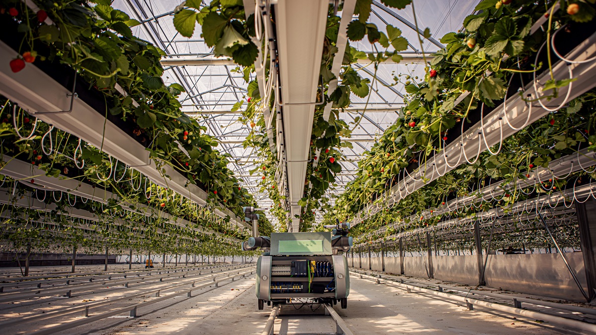 Fenntarthatóbb növénytermesztés robotokkal