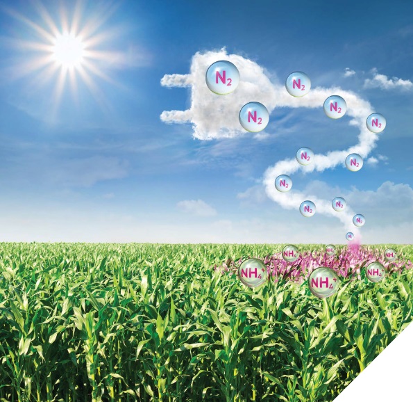 BlueN®: nitrogént a levegőből – Maximális termés fenntartható módon