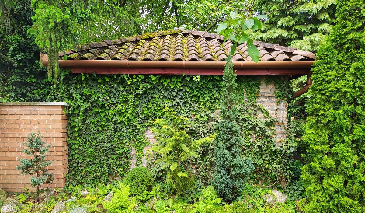 A NEM K&Iacute;V&Aacute;NT BOROSTY&Aacute;N KIIRT&Aacute;SA