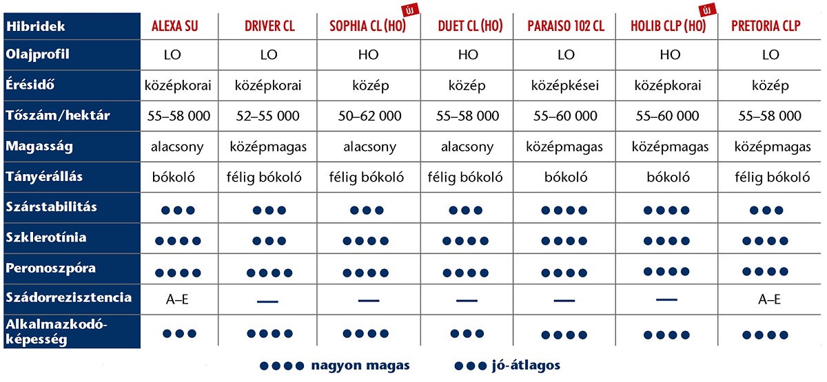 V&aacute;lasszon szempontot, mi adjuk hozz&aacute; a napraforg&oacute;t.