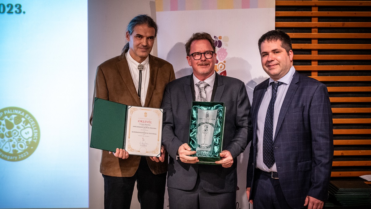 A legjobb p&aacute;link&aacute;kat d&iacute;jazt&aacute;k