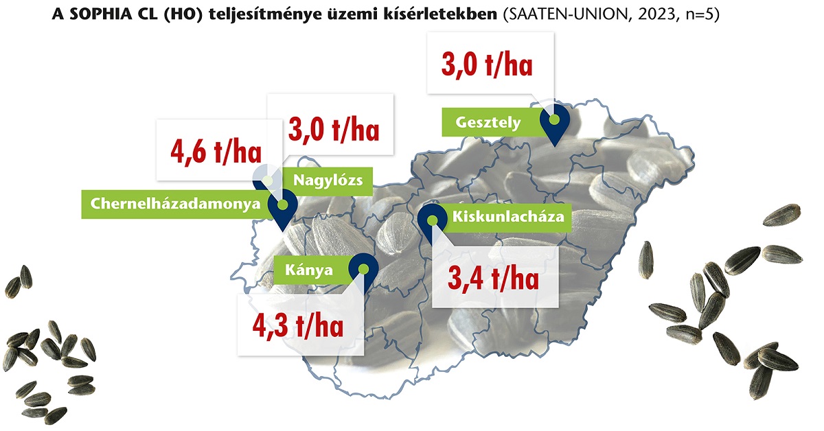 K&eacute;t &uacute;j napraforg&oacute;hibriddel bőv&uuml;lt a k&iacute;n&aacute;latunk