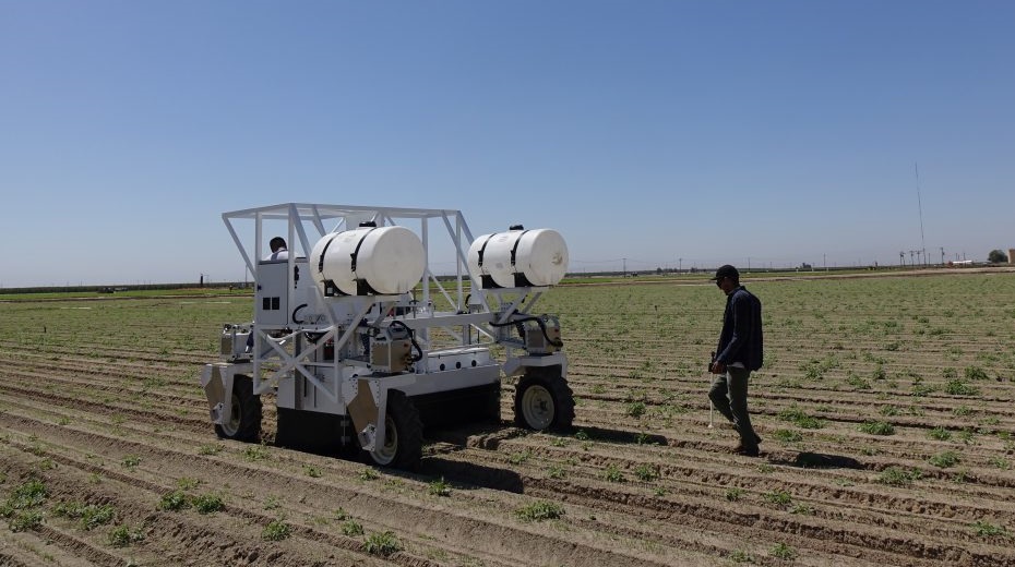 &bdquo;Az &eacute;v agr&aacute;rrobotja 2024&rdquo;