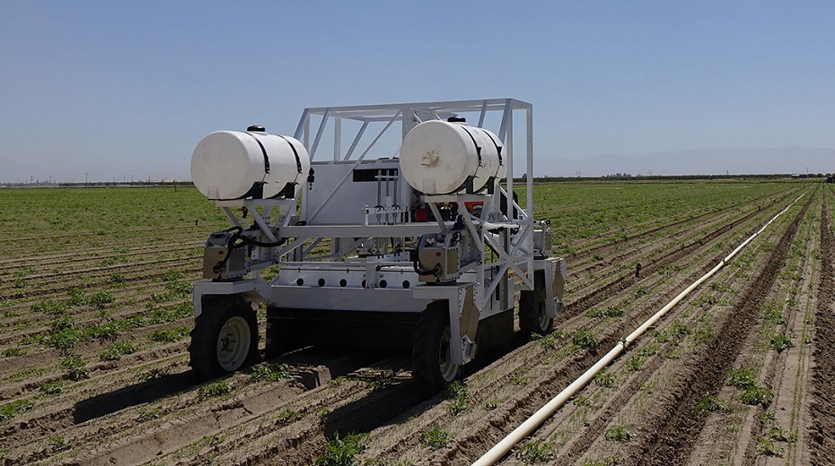 &bdquo;Az &eacute;v agr&aacute;rrobotja 2024&rdquo;