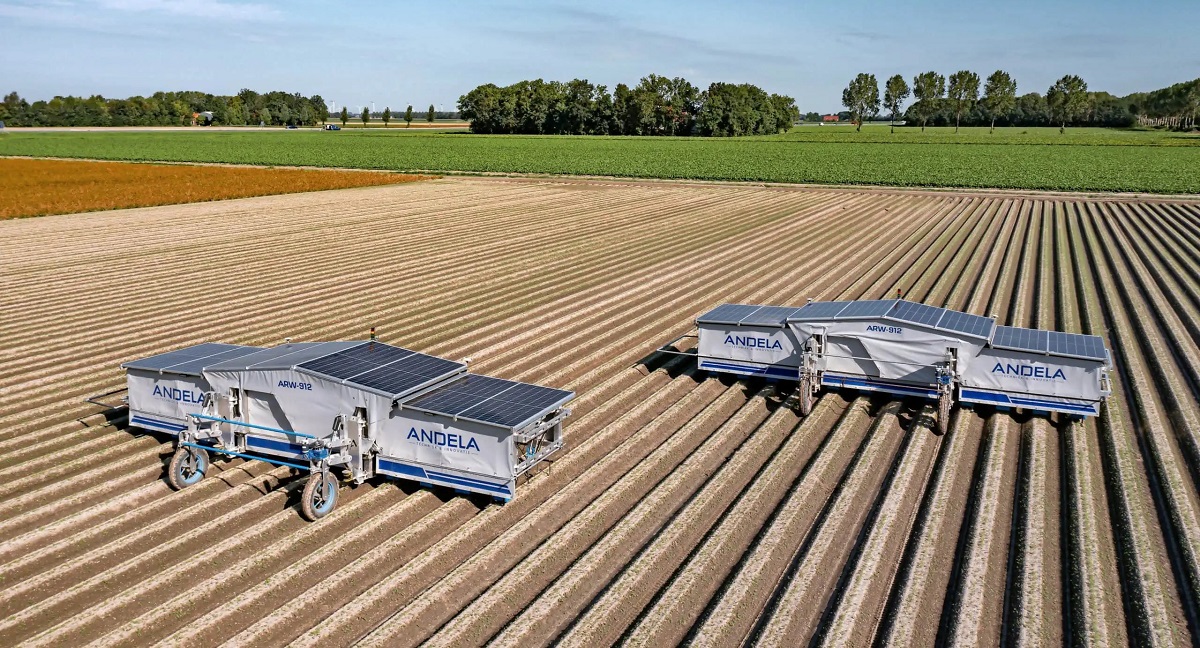 &bdquo;Az &eacute;v agr&aacute;rrobotja 2024&rdquo;