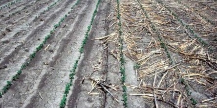 A talajművelési rendszerek leírása