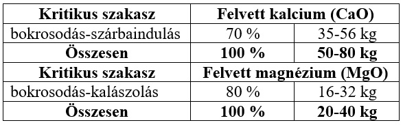 T&ouml;bb p&eacute;nzt akar keresni? Akkor ideje, hogy megtanulja az őszi b&uacute;za &eacute;s repce hat&eacute;kony tavaszi N-fejtr&aacute;gy&aacute;z&aacute;s&aacute;t! Elmondjuk, hogyan!