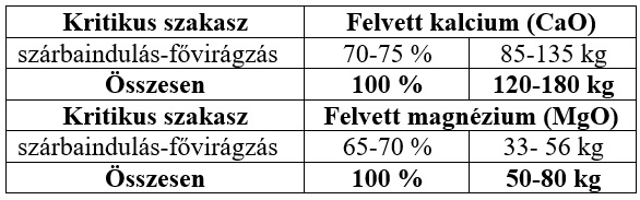 T&ouml;bb p&eacute;nzt akar keresni? Akkor ideje, hogy megtanulja az őszi b&uacute;za &eacute;s repce hat&eacute;kony tavaszi N-fejtr&aacute;gy&aacute;z&aacute;s&aacute;t! Elmondjuk, hogyan!