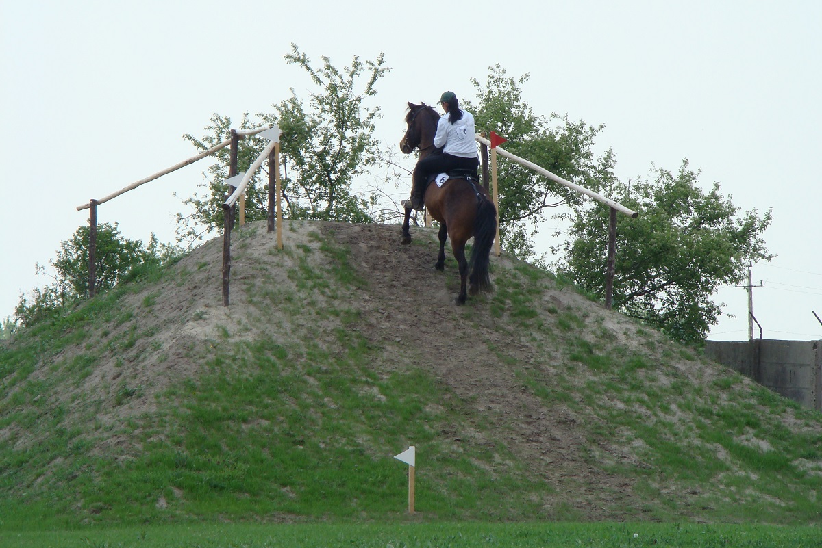 &Ouml;sv&eacute;nyen a hucul &ndash; Avagy egy kiv&aacute;l&oacute; fajta lehetős&eacute;gei a teny&eacute;szt&eacute;sben, p&aacute;ly&aacute;n &eacute;s terepen