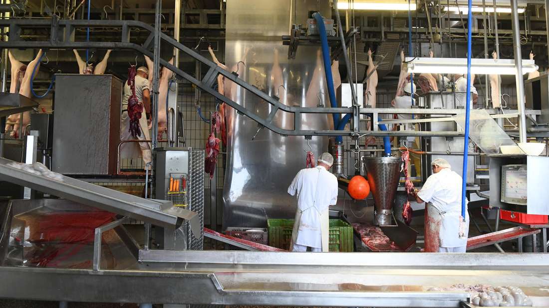 Az &uuml;vegfalon t&uacute;l  &ndash; Kl&iacute;masemleges &eacute;s &aacute;llatbar&aacute;t biov&aacute;g&oacute;h&iacute;d uni&oacute;s forr&aacute;sb&oacute;l