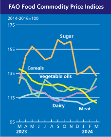 H&eacute;t h&oacute;napos cs&ouml;kken&eacute;s ut&aacute;n m&aacute;rciusban emelkedik a FAO &eacute;lelmiszer&aacute;r-indexe
